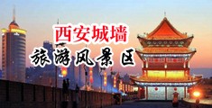 嫩草操逼视频中国陕西-西安城墙旅游风景区
