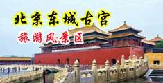插入骚B视频中国北京-东城古宫旅游风景区